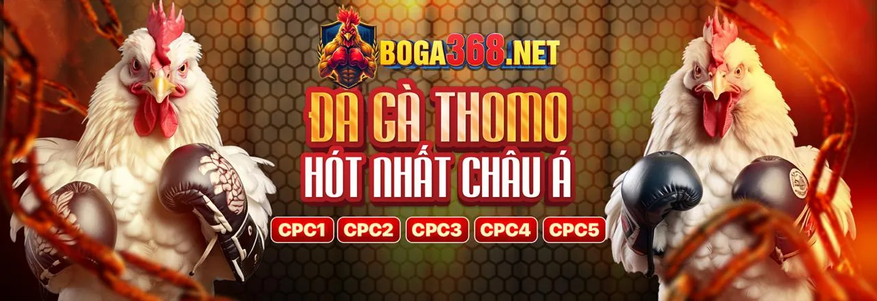 Khuyến mãi đá gà j88vip2 chính thức